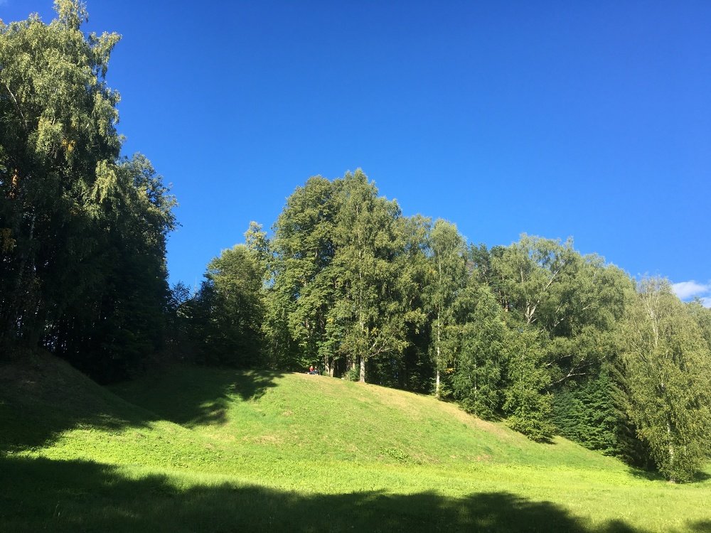 В имении Островского