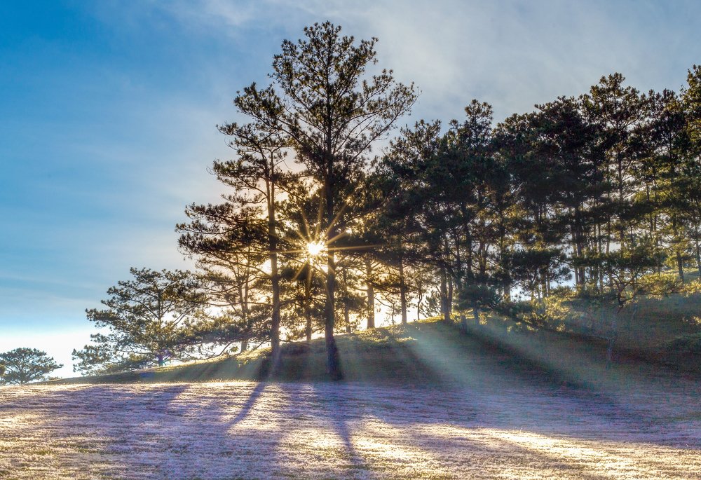 Photograph by Tran Anh