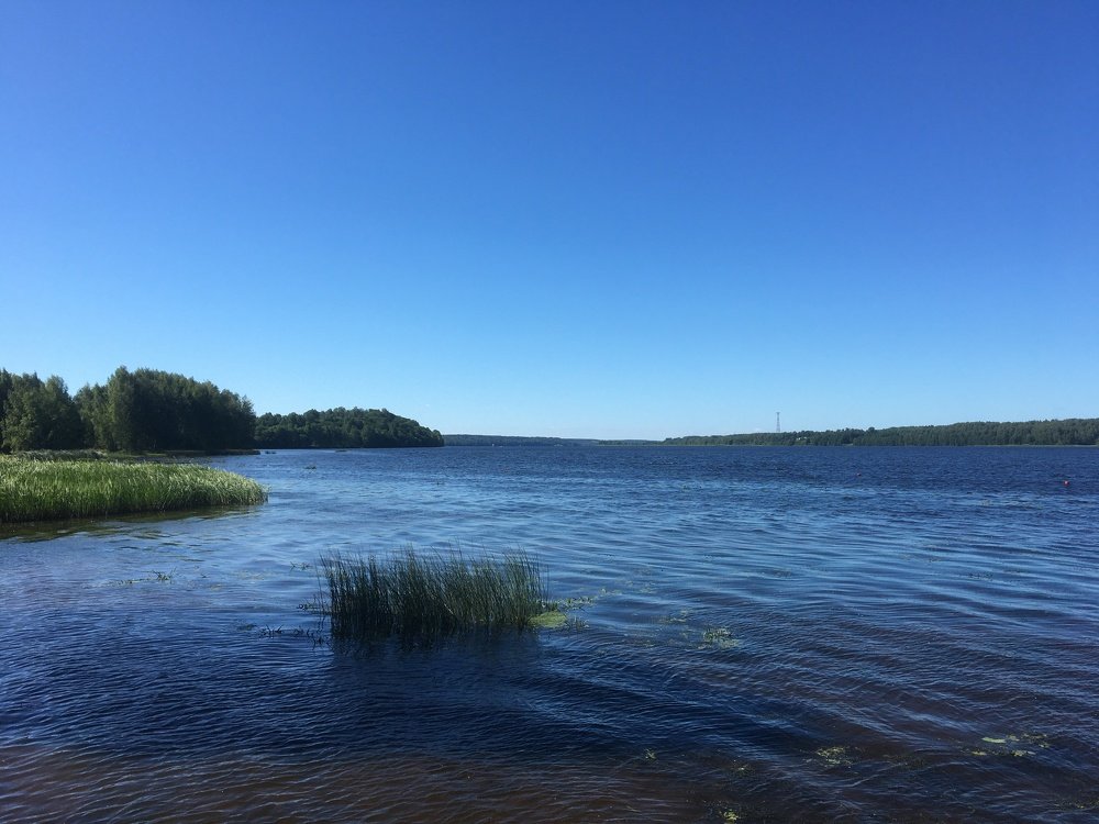 Водный простор. Волга.