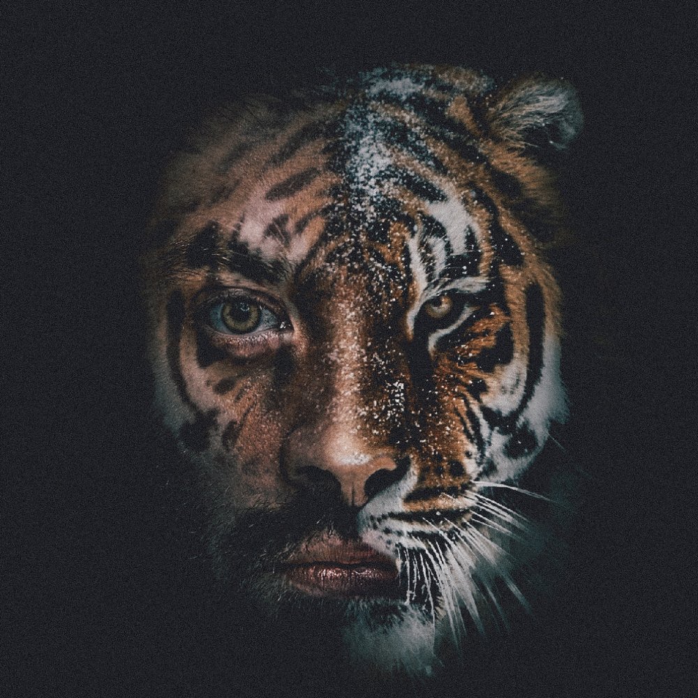 Photograph by zeynep gizem yurtsever