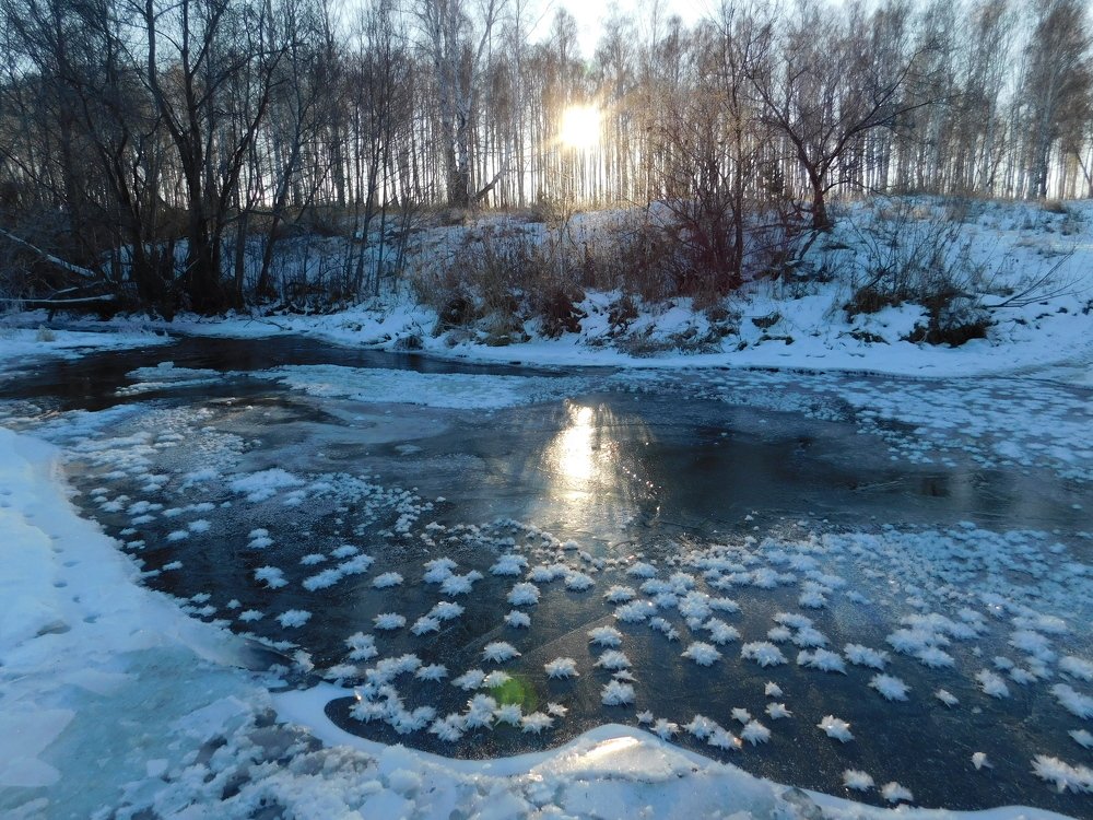 Photograph by Чкареули Светлана