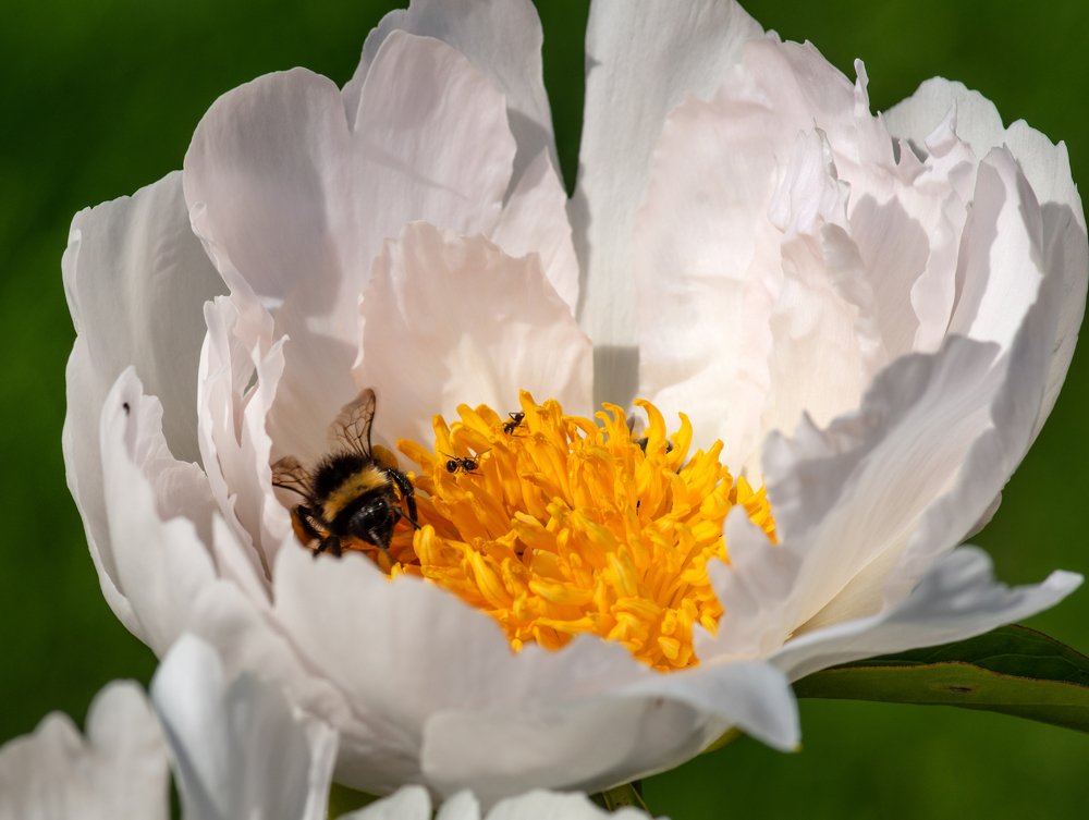 Photograph by Галина Михоношина