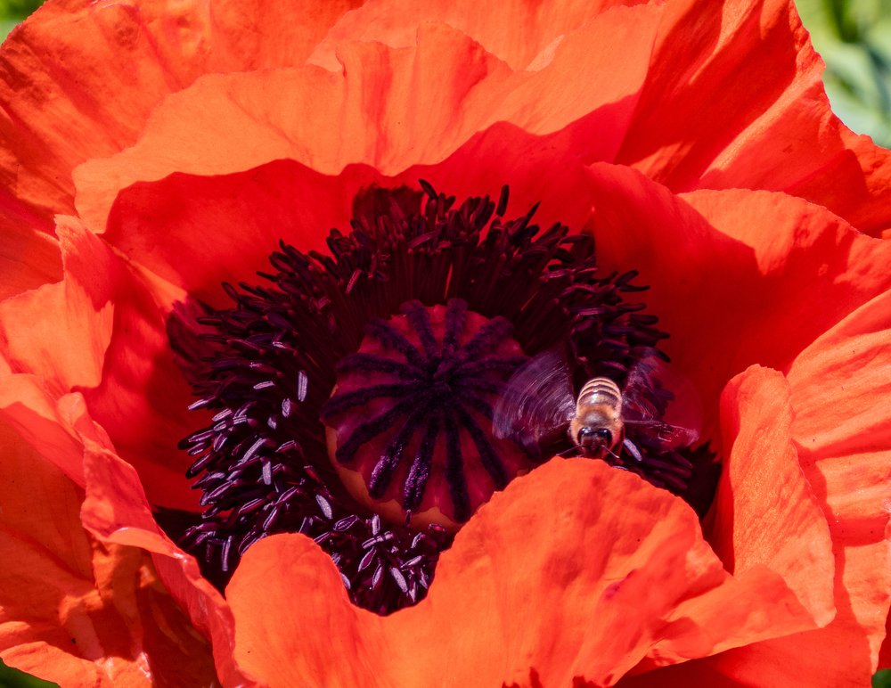 Photograph by Галина Михоношина