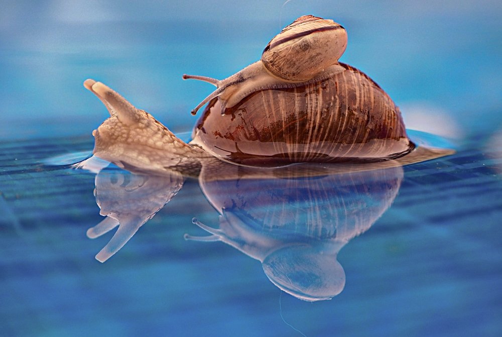 Прогулка с мамой