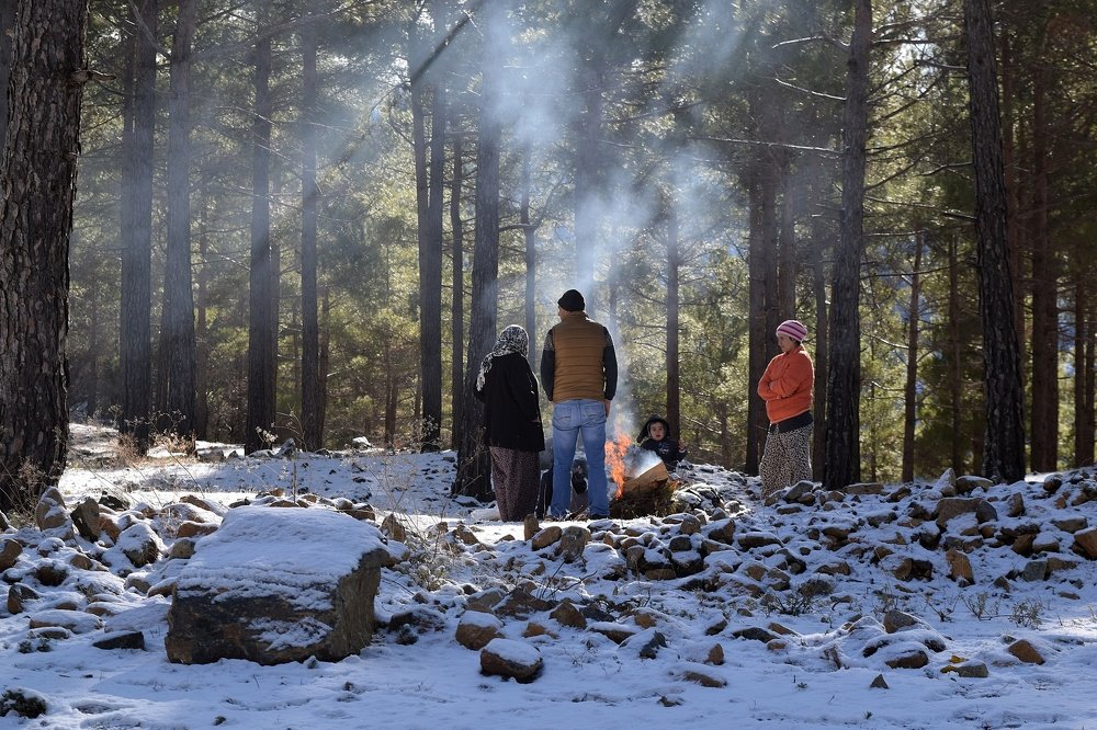 Photograph by Ирина Онер