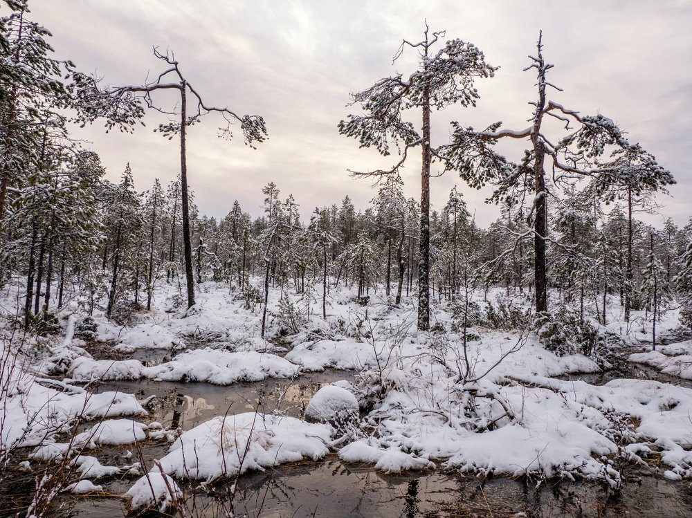 Photograph by Галина Михоношина