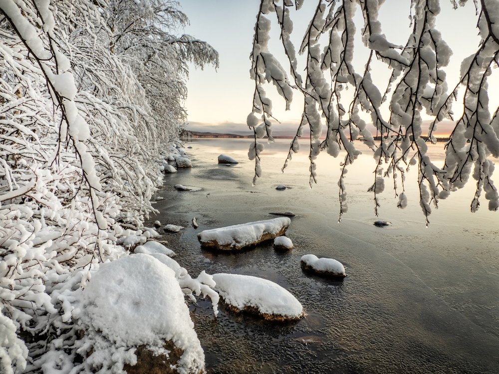 Photograph by Галина Михоношина