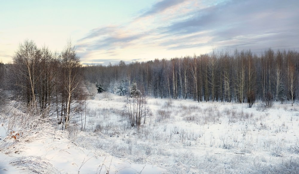 Photograph by Дворянинова Екатерина