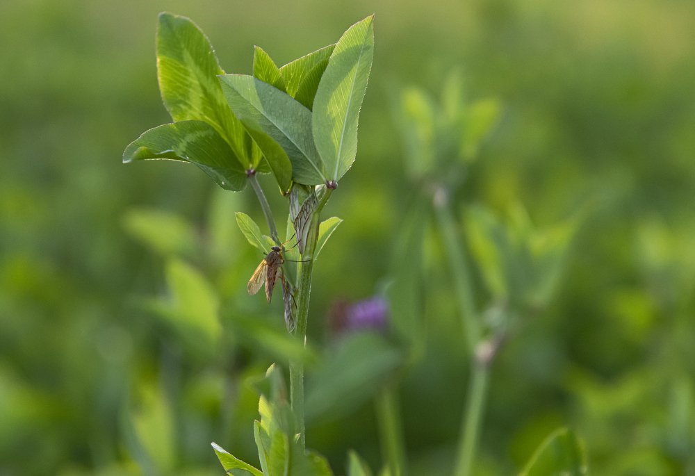 Фотография автора Екатерина Лапаева