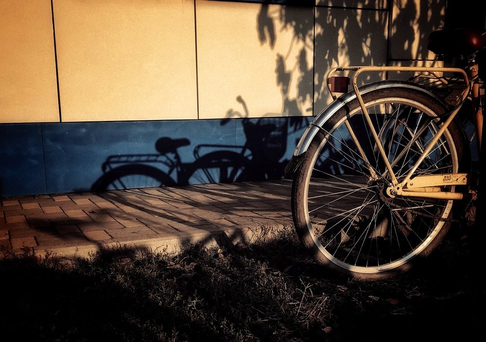 Photograph by Алексей Кроль