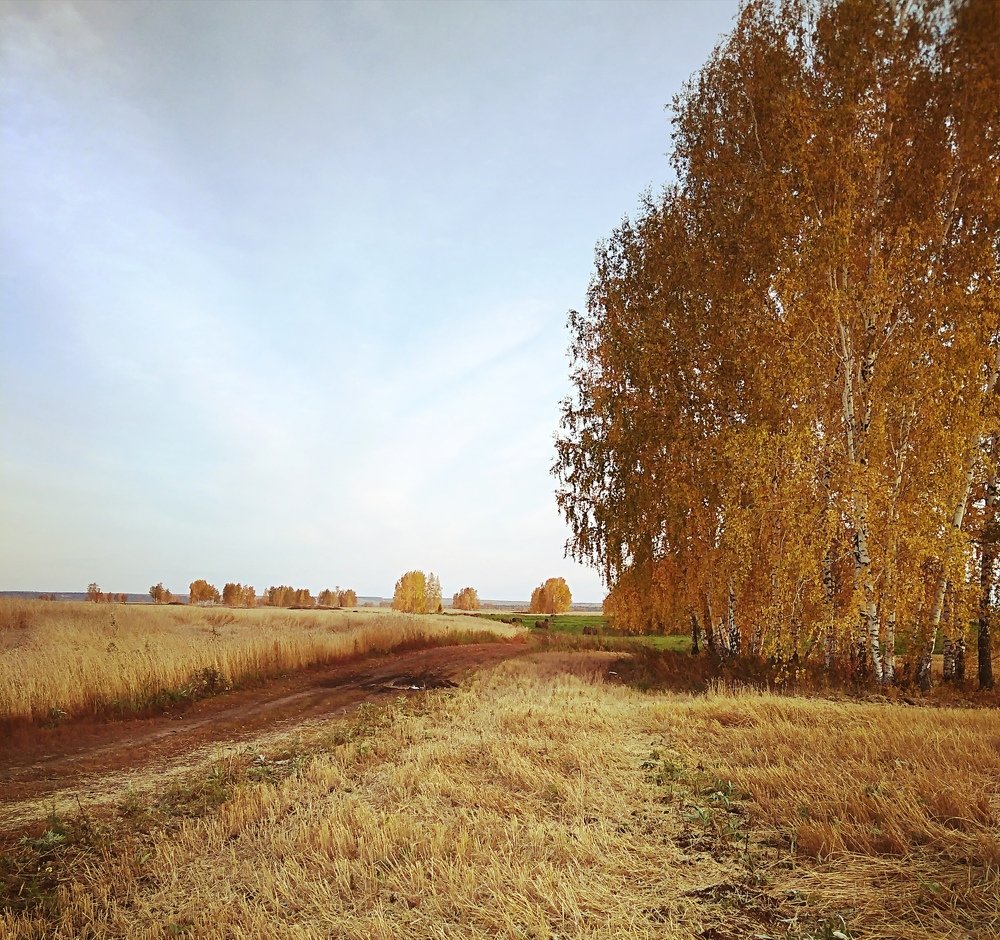 Photograph by Елена Федорова