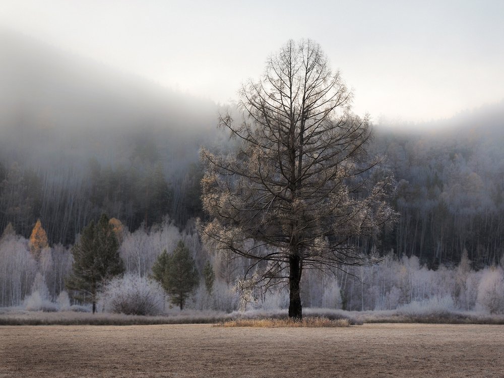 На фоне сопок,гор и облаков