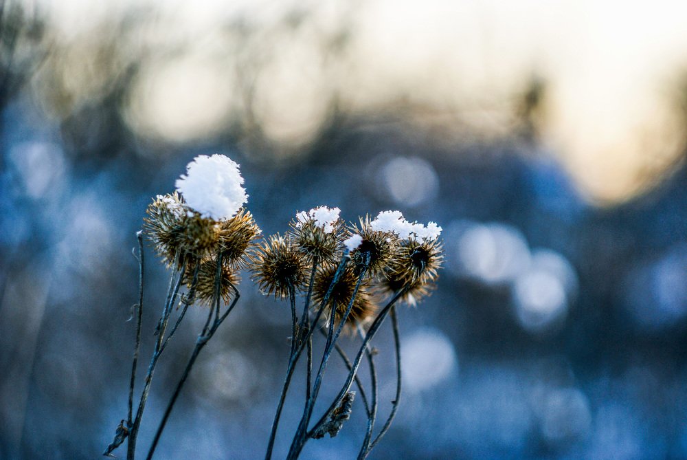 Photograph by Денис Геранькин
