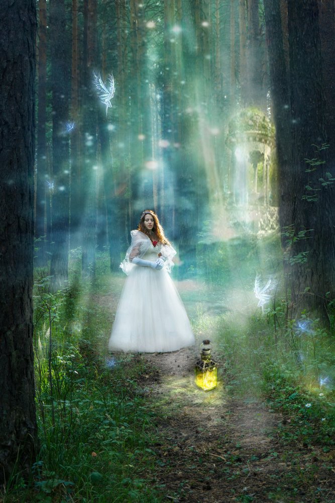 Фотография автора Елена Самофалова