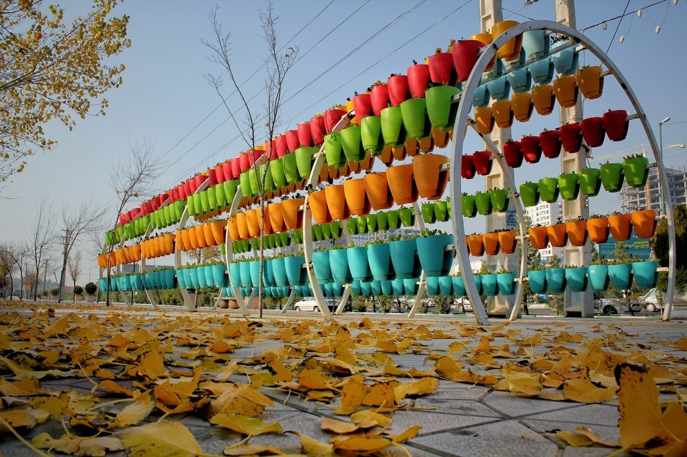 Photograph by Zohre sadat Lajevardi