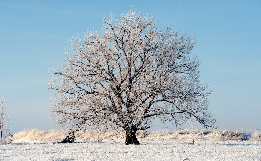 Photograph by Виталий Слёзка