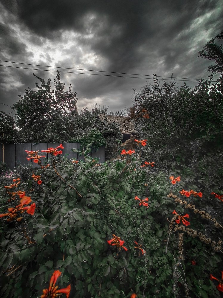 Перед дождём...