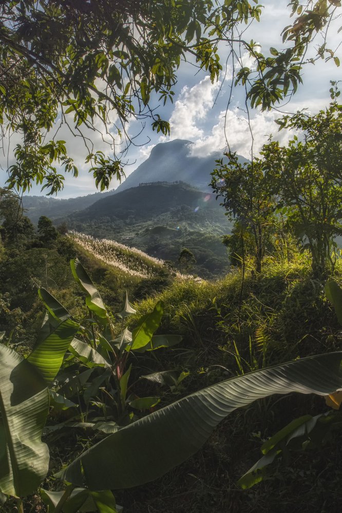 Photograph by Aarón Santiago Varela Velásquez