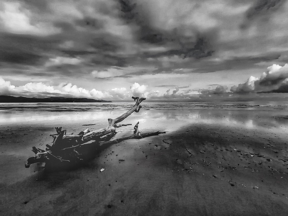 Colombian Pacific Coast