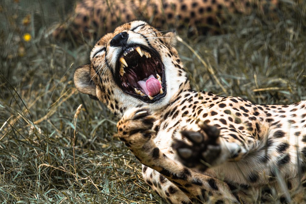 Фотография автора Сергей Ульихин