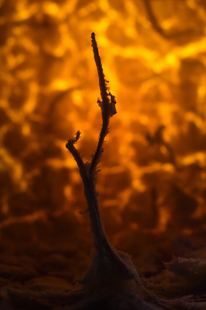 Photograph by Артем Карлов