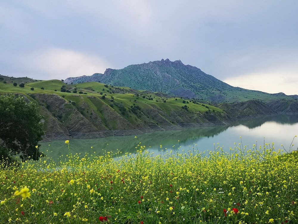 Photograph by Usama Akram