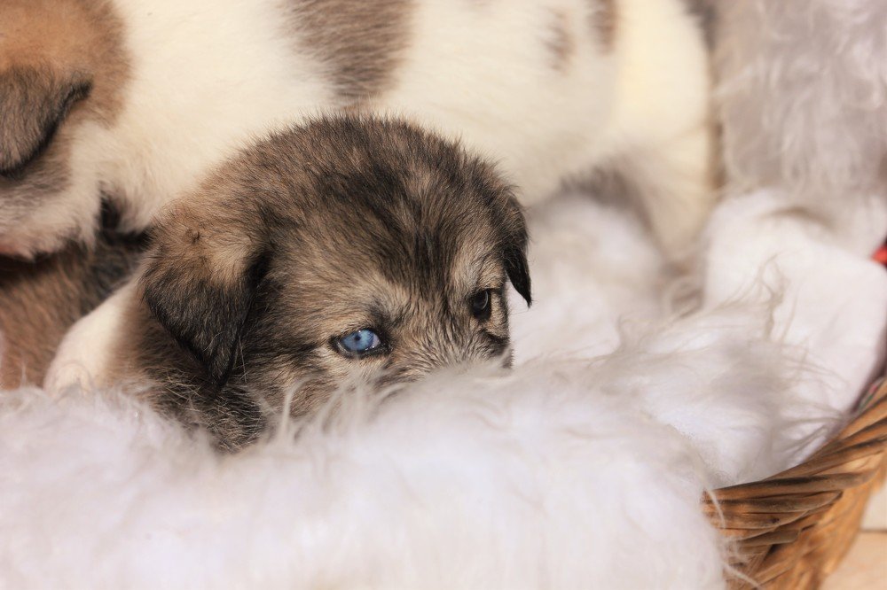 Photograph by Mehrzad Salimi khiati