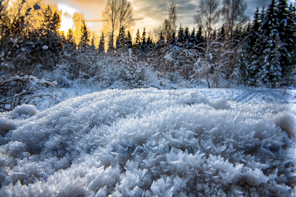 Photograph by Денис Шевчук