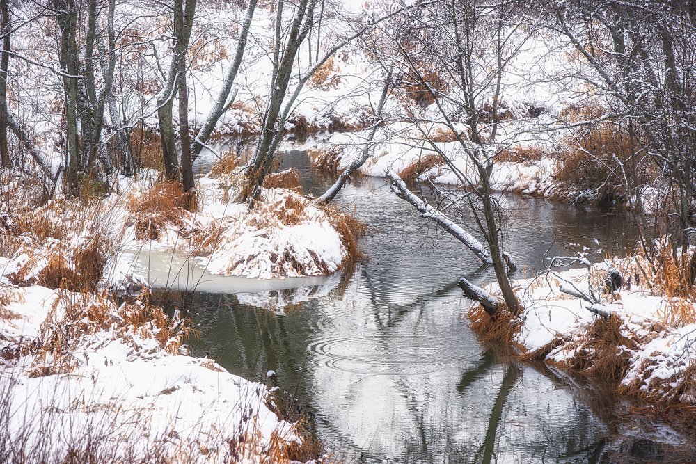 Photograph by Денис Шевчук