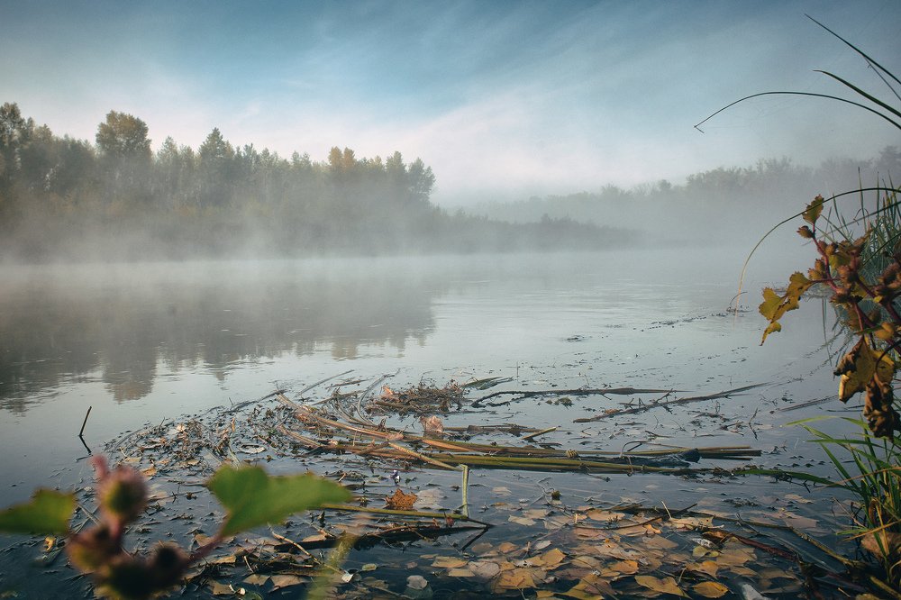 Photograph by Алексей Курочкин