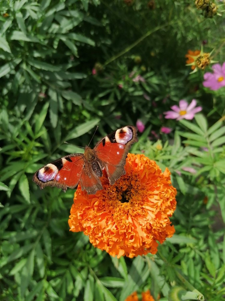 Photograph by Евгений Беляев