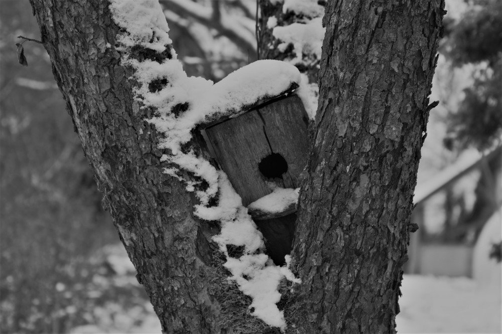 Photograph by Alvydas Baltakis