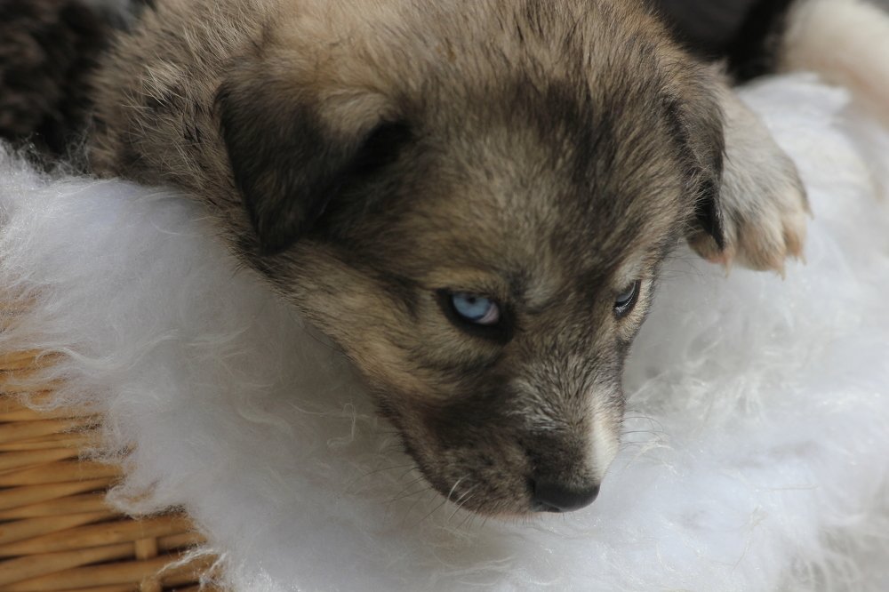 Photograph by Mehrzad Salimi khiati