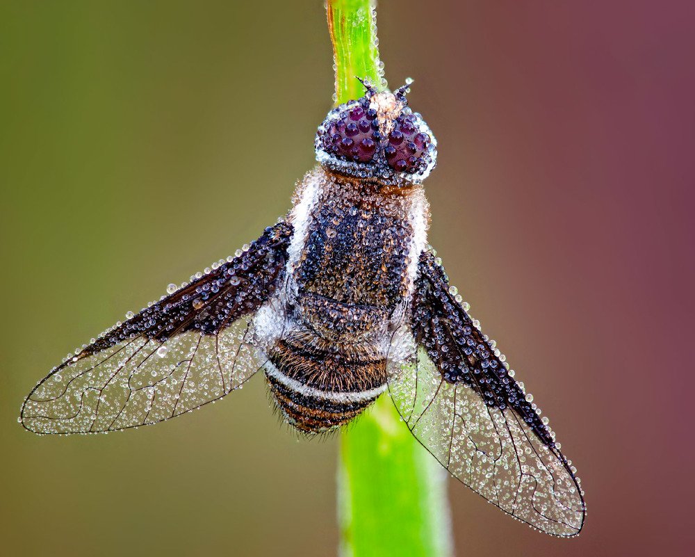 Photograph by Сергей Рубан