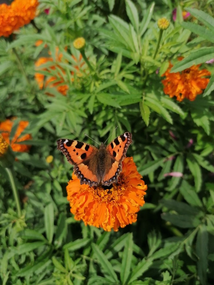 Photograph by Евгений Беляев