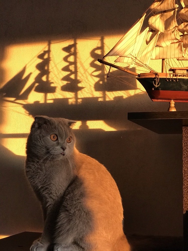 В лучах заката