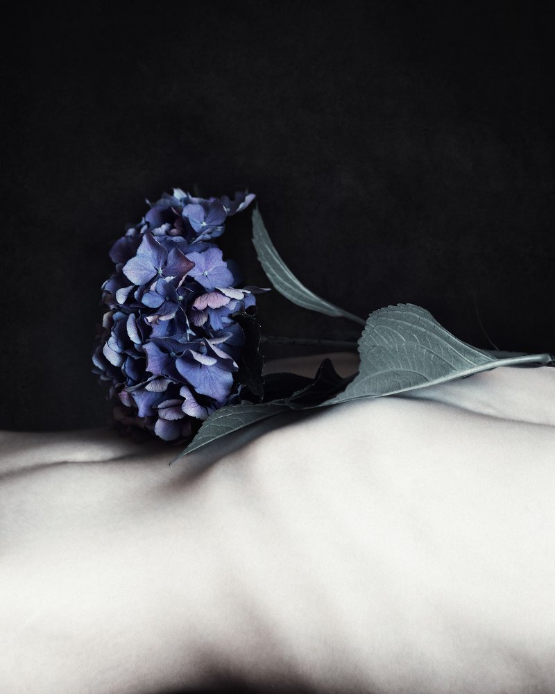 Between Spring and Death