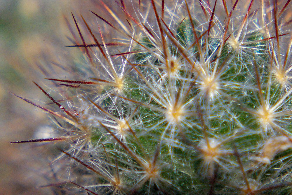 Photograph by Денис Геранькин