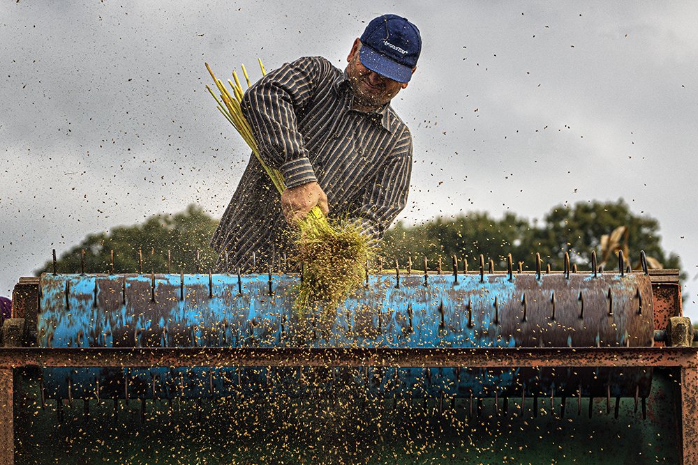 Фотография автора Fikriye Er