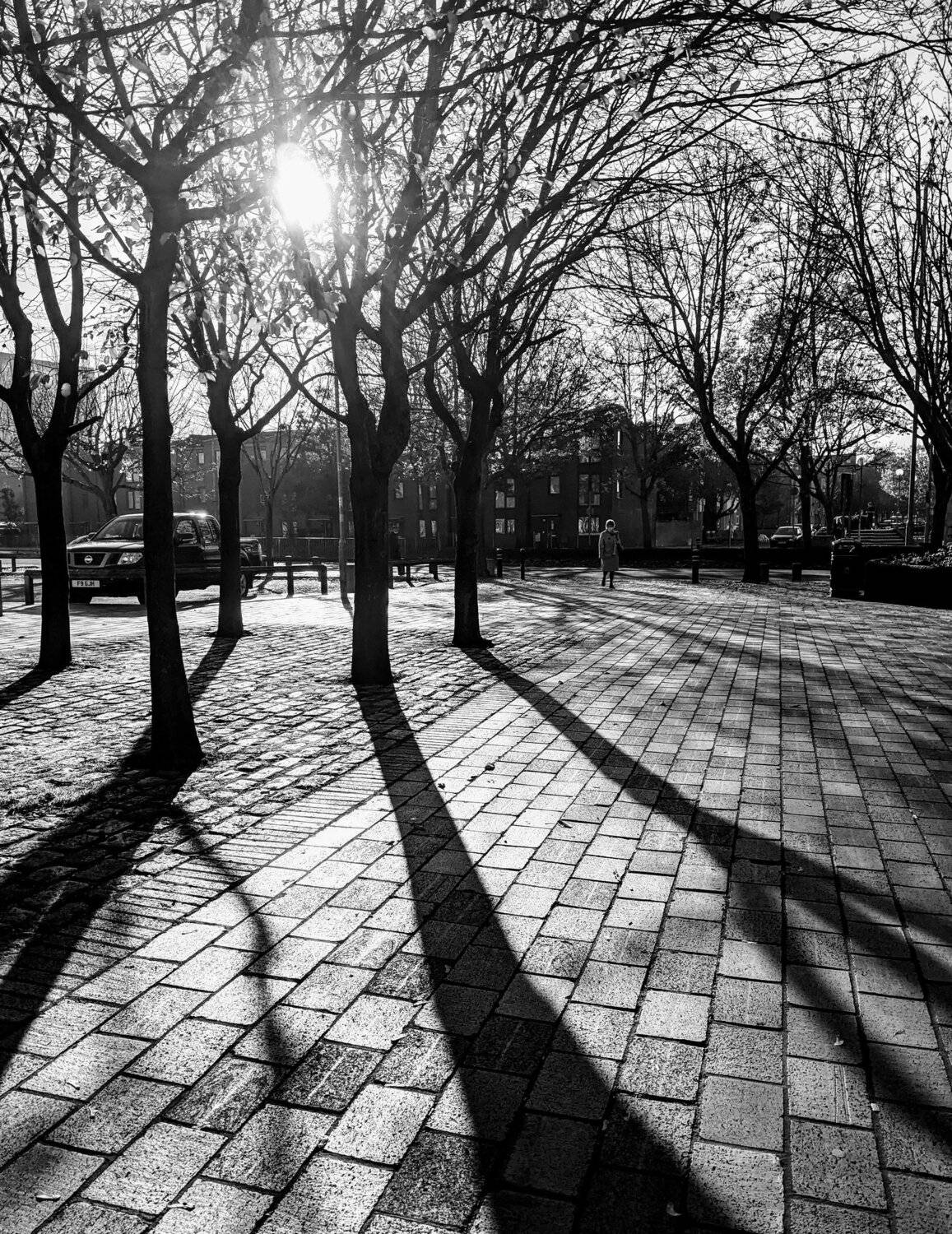 Shorter Days, Longer Shadows