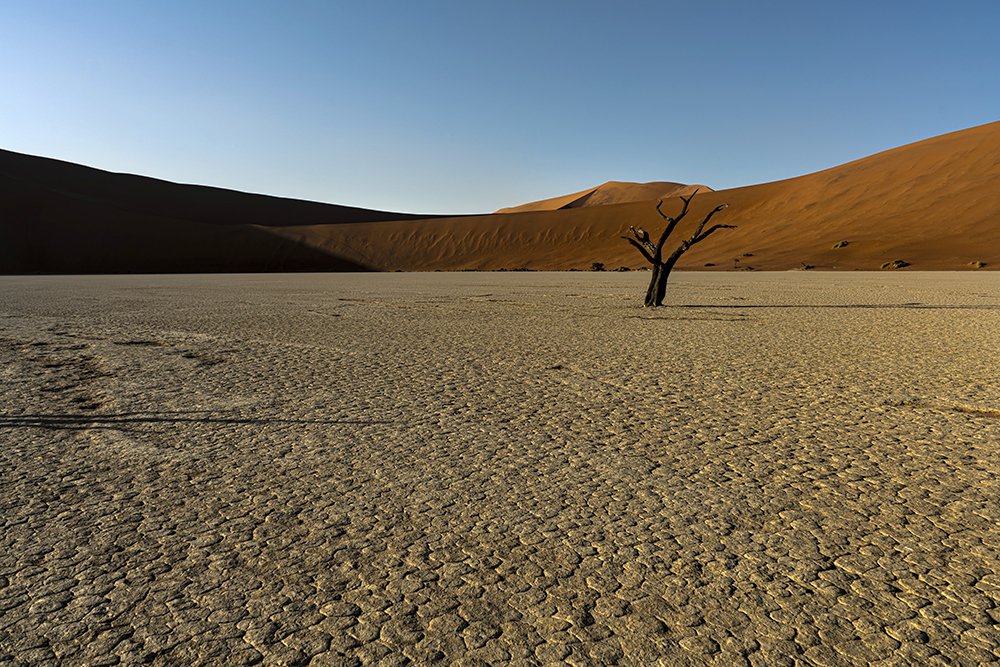 Фотография автора Fikriye Er