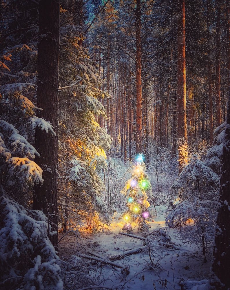 Photograph by Валентина Старикова