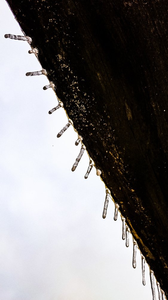 Photograph by Александр Казак