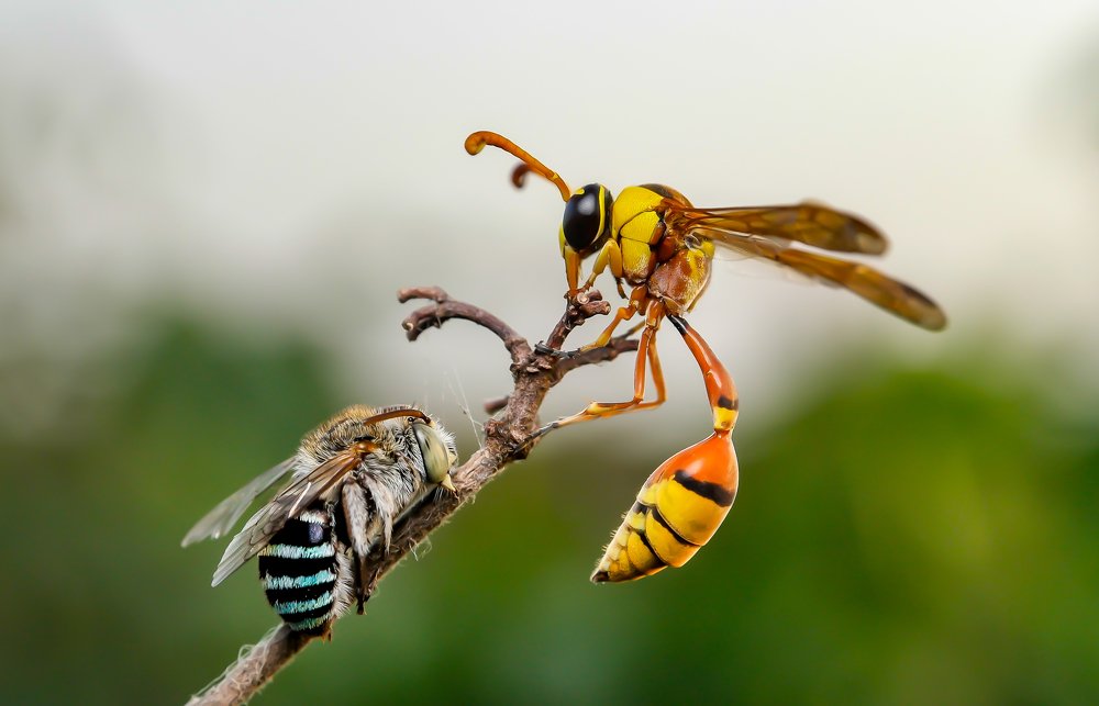 Photograph by Hardeep Solanki