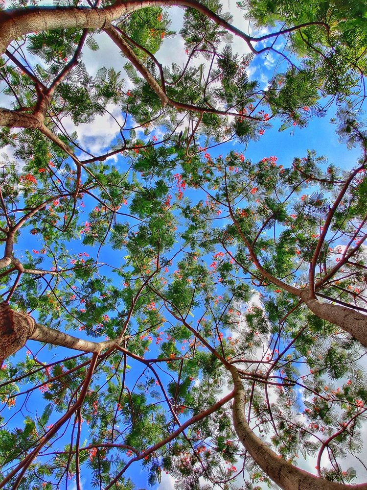 Photograph by Hardeep Solanki