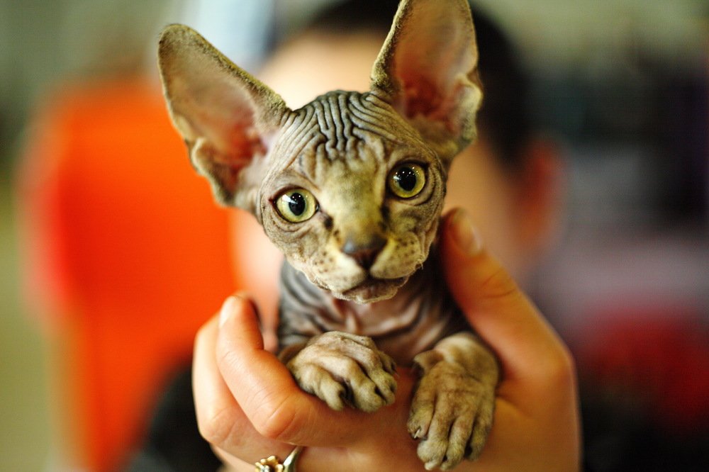 Photograph by Константин Лагоденко