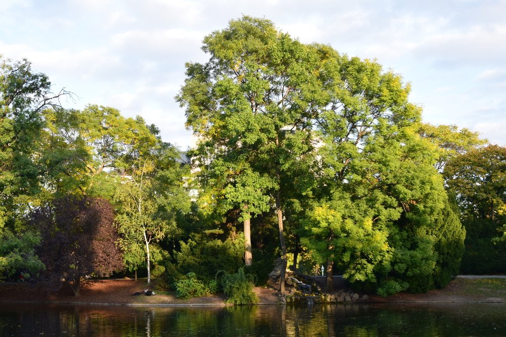 Photograph by Galina Leskova