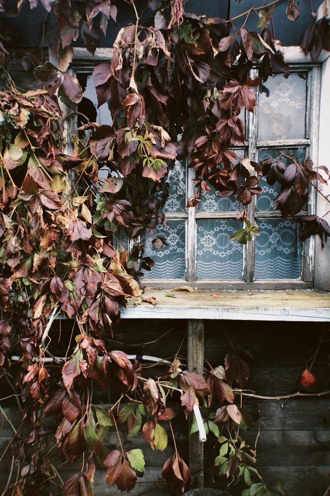 Photograph by Надежда