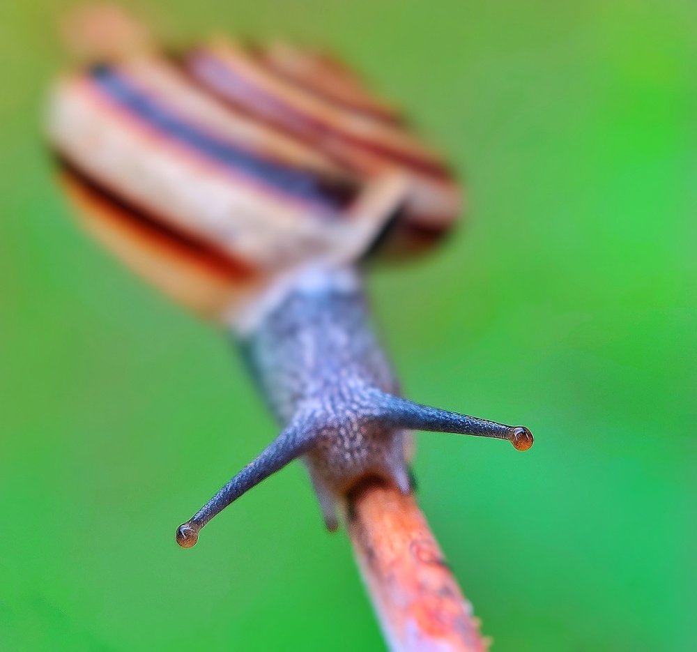 Photograph by Hardeep Solanki