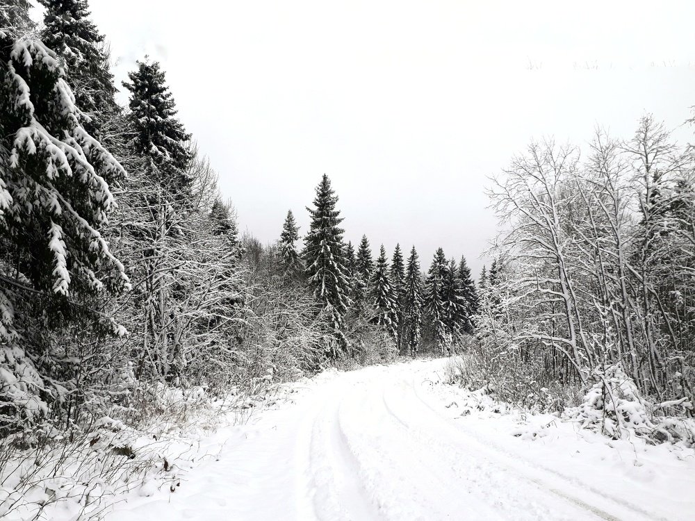 Photograph by Виктория Шлёпина